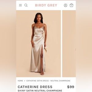 Birdy Grey Catherine Dress Champagne M NWT